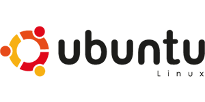 Ubuntu Linux — DDNS update via crontab or systemd timer on Ubuntu and Debian systems