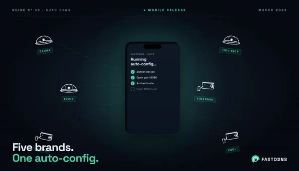 Hướng dẫn về tính năng cấu hình DDNS tự động