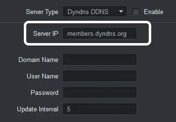 DynDNS default server address showing members.dyndns.org on a DVR DDNS settings page